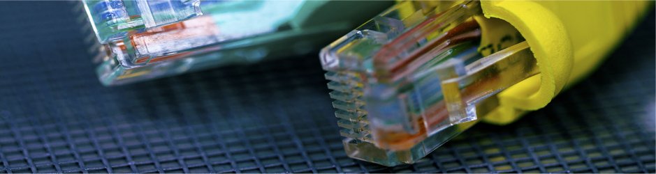 "We Are Dedicated To You And Your Success"